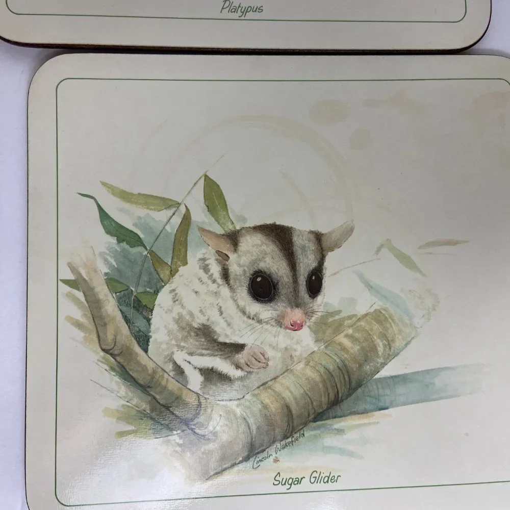 Placemats Cork New Zealand Australian Animals Art Print Lincoln Wakefield 6 pc